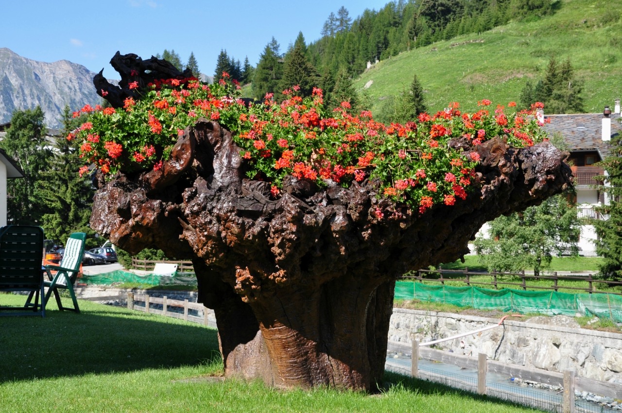 Champoluc
